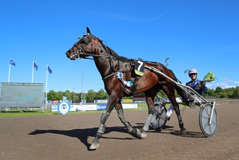 Drauper vid sin senaste V75-seger. Foto av Maria Holmén TR Bild